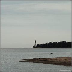 f1002819768