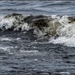 f20873216_v1