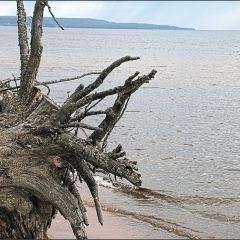 Copyright (C) 2007, Nikolai Malykh