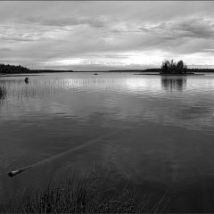 Copyright (C) 2009, Nikolai Malykh