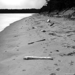 Copyright (C) 2009, Nikolai Malykh