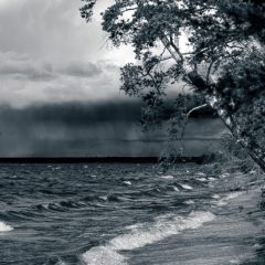 Copyright (C) 2009, Nikolai Malykh