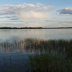 Copyright (C) 2009, Nikolai Malykh