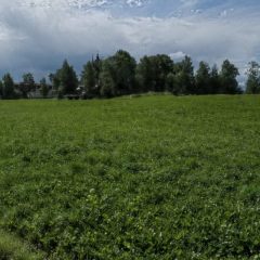 Copyright (C) 2009, Nikolai Malykh
Projection: Cylindrical (1)
FOV: 194 x 89
Ev: 14,61