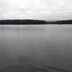 Copyright (C) 2009, Nikolai Malykh