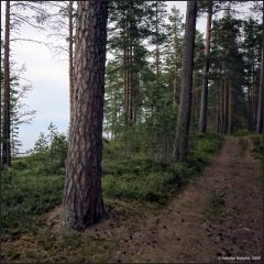 Copyright (C) 2009, Nikolai Malykh