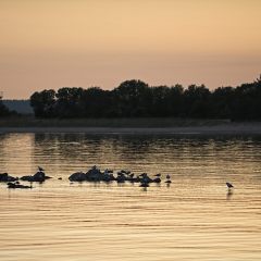 Copyright (C) 2009, Nikolai Malykh