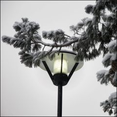 Copyright (C) 2010, Nikolai Malykh