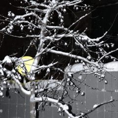 Copyright (C) 2010, Nikolai Malykh