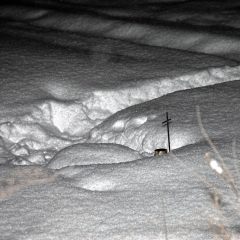 Copyright (C) 2010, Nikolai Malykh