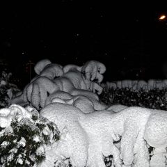 Copyright (C) 2010, Nikolai Malykh
