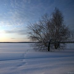Copyright (C) 2010, Nikolai Malykh