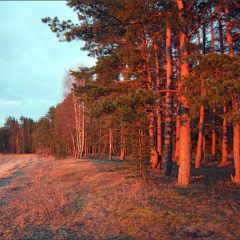 Copyright (C) 2010, Nikolai Malykh