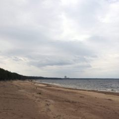 Copyright (C) 2010, Nikolai Malykh