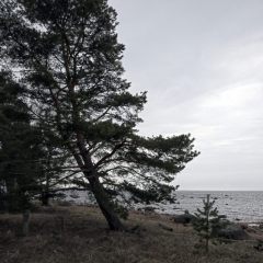 Copyright (C) 2010, Nikolai Malykh