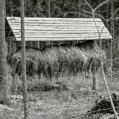 Copyright (C) 2010, Nikolai Malykh