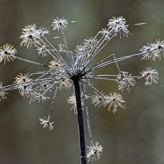 f381423632