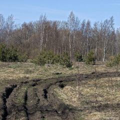 f386433024