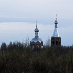 f397769888