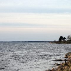 f412188672