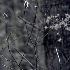 f386680128