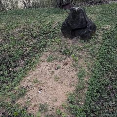 Copyright (C) 2010, Nikolai Malykh