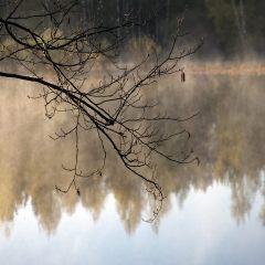 Copyright (C) 2010, Nikolai Malykh