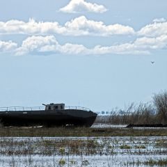 f391725056