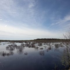 Copyright (C) 2010, Nikolai Malykh