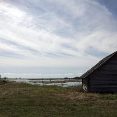 Copyright (C) 2010, Nikolai Malykh