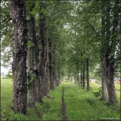 Copyright (C) 2010, Nikolai Malykh