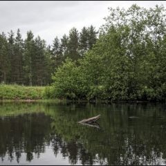 Copyright (C) 2010, Nikolai Malykh