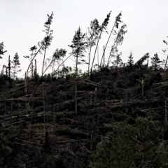 Copyright (C) 2010, Nikolai Malykh