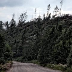 Copyright (C) 2010, Nikolai Malykh