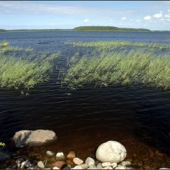 Copyright (C) 2010, Nikolai Malykh