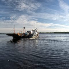 f6460875248